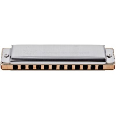 Seydel Harmonicas Seydel Blues Soloist Pro 12 Steel Harmonica C Seydel Harmonicas Seydel Blues Soloist Pro 12 Steel Harmonica C