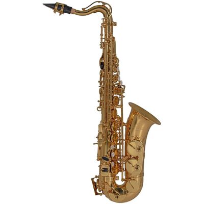Roy Benson AS201 Alto Saxophone for Children Lacquer Roy Benson AS201 Alto Saxophone for Children Lacquer