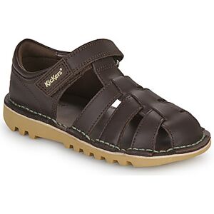 Kickers Sandals kids KICK SANDAL Brown 6 toddler,7 toddler,9 toddler,5.5 toddler,7.5 toddler girls Kickers Sandals kids KICK SANDAL Brown 6 toddler,7 toddler,9 toddler,5.5 toddler,7.5 toddler girls