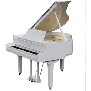 Roland GP-9 PW Roland GP-9 PW