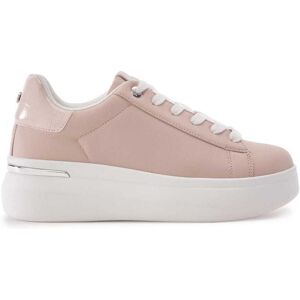 Moda In Pelle Beelia Cameo Porvair 41 Size: UK 8 / EU 41 female Moda In Pelle Beelia Cameo Porvair 41 Size: UK 8 / EU 41 female