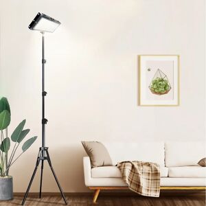 NONE Floor Lamp with Timer, Adjustable Color Temperature & Brightness, Stanging Floor Light for Reading, Office, Living Room, Bedroom NONE Floor Lamp with Timer, Adjustable Color Temperature & Brightness, Stanging Floor Light for Reading, Office, Living Room, Bedroom