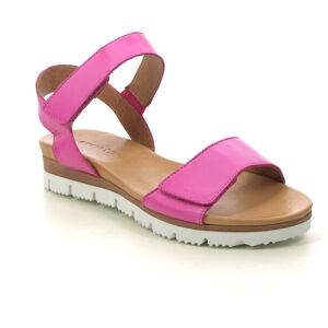 Creator Raynor Vel Fuchsia Leather Womens Wedge Sandals IB18657-62 in a Plain Leather in Size 37 Creator Raynor Vel Fuchsia Leather Womens Wedge Sandals IB18657-62 in a Plain Leather in Size 37