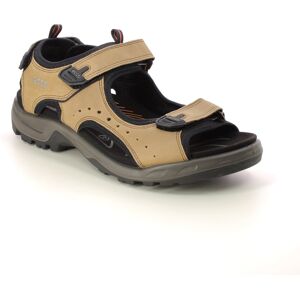 ECCO Offroad Mens Brown Mens sandals 822044-02114 in a Plain Leather in Size 45 ECCO Offroad Mens Brown Mens sandals 822044-02114 in a Plain Leather in Size 45