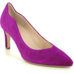 Gabor Dane Daniels Degree Fuchsia Suede Womens High Heels 31.381.10 in a Plain Suede Leather in Size 5 Gabor Dane Daniels Degree Fuchsia Suede Womens High Heels 31.381.10 in a Plain Suede Leather in Size 5