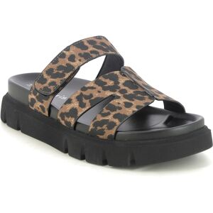 Tamaris Lati Slide Leopard print Womens Slide Sandals 27412-46-360 in a Plain Man-made in Size 37 Tamaris Lati Slide Leopard print Womens Slide Sandals 27412-46-360 in a Plain Man-made in Size 37