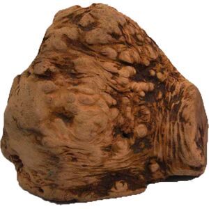 Chewies - Large Natural Dog Chew Root - Durable & Safe Chewies - Large Natural Dog Chew Root - Durable & Safe