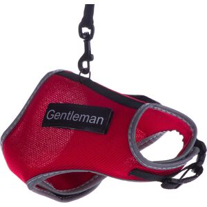Trixie Cat Harness with Lead & Stickers - Red Trixie Cat Harness with Lead & Stickers - Red