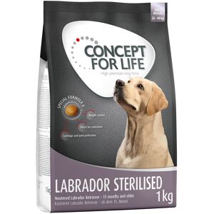 Concept for Life Labrador Sterilised - Grain-Free - Supports Weight & Joints Concept for Life Labrador Sterilised - Grain-Free - Supports Weight & Joints