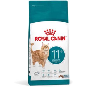 ROYAL CANIN Ageing 11+ Dry Cat Food - Dry Cat Food ROYAL CANIN Ageing 11+ Dry Cat Food - Dry Cat Food