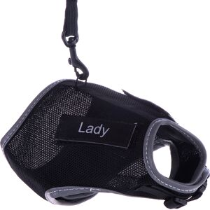 Trixie Black XCat Harness with Stickers & Lead Trixie Black XCat Harness with Stickers & Lead