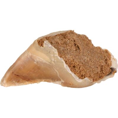 Trixie Dog Hoof Chew - Meat Paste - 10 x 115g Trixie Dog Hoof Chew - Meat Paste - 10 x 115g