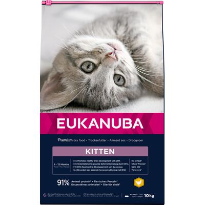 Eukanuba Kitten Chicken - 10 kg Cat Food Eukanuba Kitten Chicken - 10 kg Cat Food