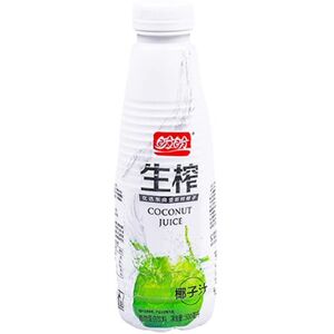 Panpan 【cooling】【hydration】盼盼生榨椰子汁500ml*15 Panpan 【cooling】【hydration】盼盼生榨椰子汁500ml*15