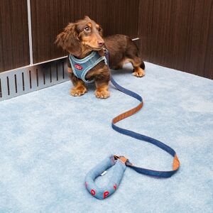 ZEZE Denim Pet Harness & Leash Set, Adjustable Travel Set (Size M, for 4–7.5 kg pets) ZEZE Denim Pet Harness & Leash Set, Adjustable Travel Set (Size M, for 4–7.5 kg pets)