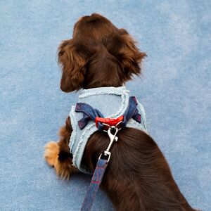 ZEZE Denim Dog & Cat Harness Leash Set, Adjustable Leash, Size L, Suitable for 7–12.5 kg ZEZE Denim Dog & Cat Harness Leash Set, Adjustable Leash, Size L, Suitable for 7–12.5 kg