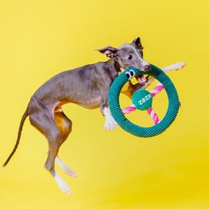 ZEZE Steering Wheel Rope Pet Toy, Interactive Chew Toy for Cats & Dogs (Dark Green) 23 x 23 x 3.5 cm, Built-In Sound Effects ZEZE Steering Wheel Rope Pet Toy, Interactive Chew Toy for Cats & Dogs (Dark Green) 23 x 23 x 3.5 cm, Built-In Sound Effects