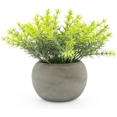 Candlelight Artificial Rosemary Plant in Concrete Effect Pot 15cm Candlelight Artificial Rosemary Plant in Concrete Effect Pot 15cm