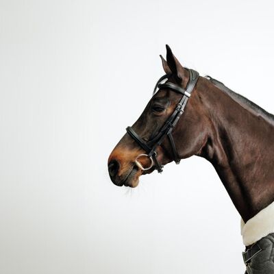 FOUGANZA Horse Riding Leather Bridle With French Noseband For Horse & Pony 900 - Black FS unisex FOUGANZA Horse Riding Leather Bridle With French Noseband For Horse & Pony 900 - Black FS unisex