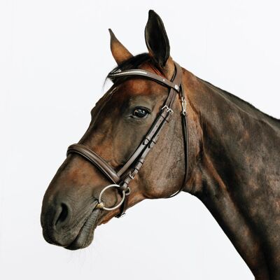 FOUGANZA Horse Riding Leather Bridle With French Noseband For Horse & Pony 580 - Brown CS unisex FOUGANZA Horse Riding Leather Bridle With French Noseband For Horse & Pony 580 - Brown CS unisex