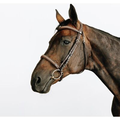 FOUGANZA Horse Riding Leather Bridle With French Noseband For Horse & Pony 580 - Brown CS unisex FOUGANZA Horse Riding Leather Bridle With French Noseband For Horse & Pony 580 - Brown CS unisex