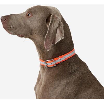 Solognac Dog Reflective Collar 500 Neon Orange M female Solognac Dog Reflective Collar 500 Neon Orange M female