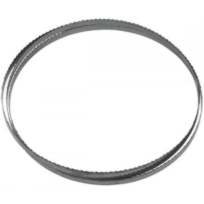 Sealey SM1304B06 Bandsaw Blade 1712 X 10 X 0.35Mm 6Tpi Sealey SM1304B06 Bandsaw Blade 1712 X 10 X 0.35Mm 6Tpi