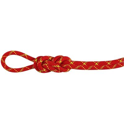 Mammut 8,0 Alpine Core Protect Dry Rope - Climbing Rope Mammut 8,0 Alpine Core Protect Dry Rope - Climbing Rope