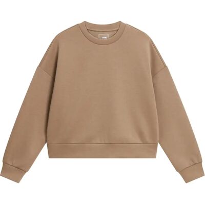 Sweatshirt woman The North Face Jaida Marron XS Sweatshirt woman The North Face Jaida Marron XS