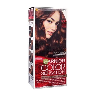 Garnier Garnier Color Sensation Intensissimos - Cinnamon Chestnut - Hair Color Garnier Garnier Color Sensation Intensissimos - Cinnamon Chestnut - Hair Color