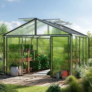 GFP 311 x 385 cm Greenhouse, aluminium, Special offer set: Pro 2 - (GFPV00256)
