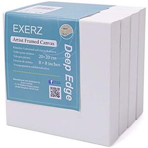 Exerz 20x20cm Framed Canvas 38cm Deep Edge 4pcs 380GSM Artist PreStretched Canvas 100 Exerz 20x20cm Framed Canvas 38cm Deep Edge 4pcs 380GSM Artist PreStretched Canvas 100