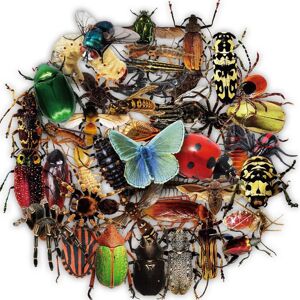 Tianfu 50 PCS for Kids Teens Waterproof Stickers Insect and Zoo Animal Sticker Laptop W Tianfu 50 PCS for Kids Teens Waterproof Stickers Insect and Zoo Animal Sticker Laptop W