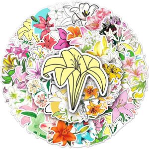TIANCI Lily Stickers Decal Waterproof Vinyl of 60-Suitable for Laptop Travel Case Note TIANCI Lily Stickers Decal Waterproof Vinyl of 60-Suitable for Laptop Travel Case Note