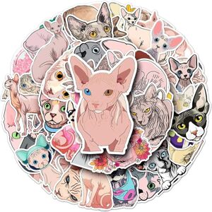 TIANCI 50 Pcs Cat Stickers, Sphinx Cat Waterproof Stickers, Vinyl Stickers for Water Bo TIANCI 50 Pcs Cat Stickers, Sphinx Cat Waterproof Stickers, Vinyl Stickers for Water Bo