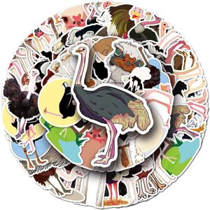 TIANCI Cute Ostrich Stickers 50 Pcs Cartoon Vinyl Stickers for Laptop Waterbottle Car H TIANCI Cute Ostrich Stickers 50 Pcs Cartoon Vinyl Stickers for Laptop Waterbottle Car H