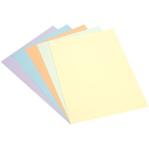Rapid A4 Assorted Pastel Coloured Card 220gsm Pack of 30 Rapid A4 Assorted Pastel Coloured Card 220gsm Pack of 30