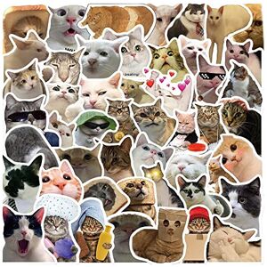 Affoto Cat Meme Stickers for Laptop (50 PCS),Gift for Children Teens Adults Girl Boys,W Affoto Cat Meme Stickers for Laptop (50 PCS),Gift for Children Teens Adults Girl Boys,W