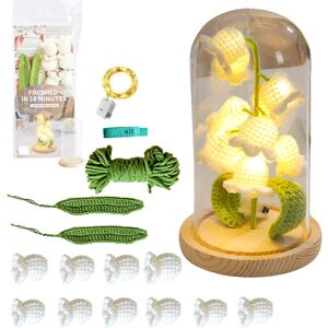 Veeki Crochet Kit for Beginners Kids and Adults, Handmade Crochet Flowers Night Light, Veeki Crochet Kit for Beginners Kids and Adults, Handmade Crochet Flowers Night Light,
