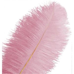 Unbranded 20 pcs Pink Ostrich Feathers Plumes 8-10 inch(20-25 cm) Bulk for Party, Easter, Unbranded 20 pcs Pink Ostrich Feathers Plumes 8-10 inch(20-25 cm) Bulk for Party, Easter,