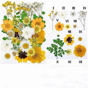 Unbranded (As show, One size) Dry flower embossing combination package Pressed Flower mate Unbranded (As show, One size) Dry flower embossing combination package Pressed Flower mate