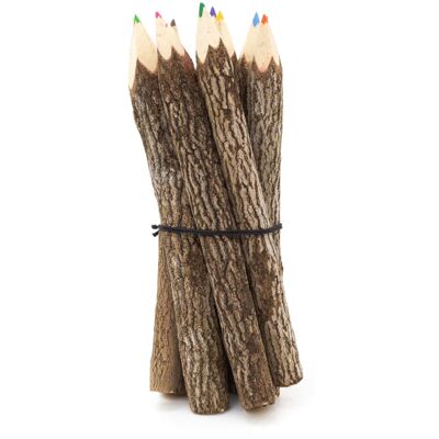 Carousel Pack Of 10 Large Tamarind Tree Branch Twig Pencils Rustic Coloured Pencils Carousel Pack Of 10 Large Tamarind Tree Branch Twig Pencils Rustic Coloured Pencils