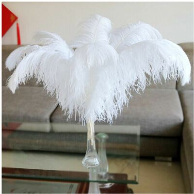SRJ STAR 10Pcs pack Large Ostrich Feathers For Wedding Party Costume Decoration SRJ STAR 10Pcs pack Large Ostrich Feathers For Wedding Party Costume Decoration