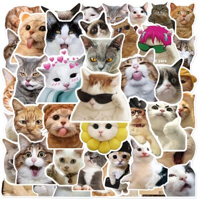 Unbranded (MULTICOLOR) 50Pcs Funny Cat Meme Stickers Water Bottle Kitten Stickers Laptop L Unbranded (MULTICOLOR) 50Pcs Funny Cat Meme Stickers Water Bottle Kitten Stickers Laptop L