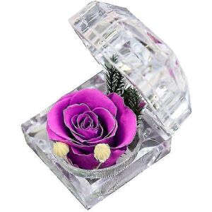 Kikidex (red, One size) Real Preserved Rose Forever In Mini Clear Ring Box, Gifts For An Kikidex (red, One size) Real Preserved Rose Forever In Mini Clear Ring Box, Gifts For An