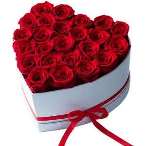 Unbranded Long-Lasting Heart-Shaped Flower Gift, Perfect Gifts for Women, Romantic Gifts f Unbranded Long-Lasting Heart-Shaped Flower Gift, Perfect Gifts for Women, Romantic Gifts f