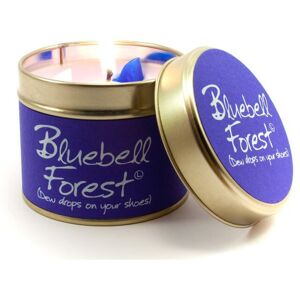 Lily-Flame lily Flame Candle in a Tin - Bluebell Forest Lily-Flame lily Flame Candle in a Tin - Bluebell Forest