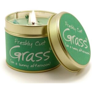 Lily-Flame Lily Flame Candle in a Tin - Freshly Cut Grass Lily-Flame Lily Flame Candle in a Tin - Freshly Cut Grass