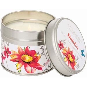 Stoneglow Botanics Candle in a Tin - Dahlia Stoneglow Botanics Candle in a Tin - Dahlia