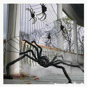 Brio (50CM) Halloween House Prop Spider Giant Spider Outdoor Brio (50CM) Halloween House Prop Spider Giant Spider Outdoor